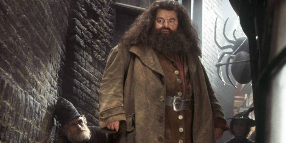 Hagrid standing in a tight alley looking intently to somewhere off-camera in Harry Potter and the Chamber of Secrets.