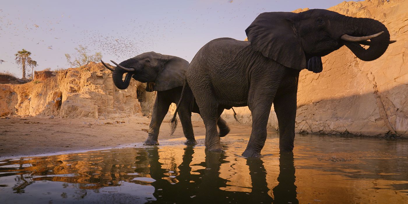 Our Great National Parks Docuseries Narrated by Barack Obama Gets Trailer