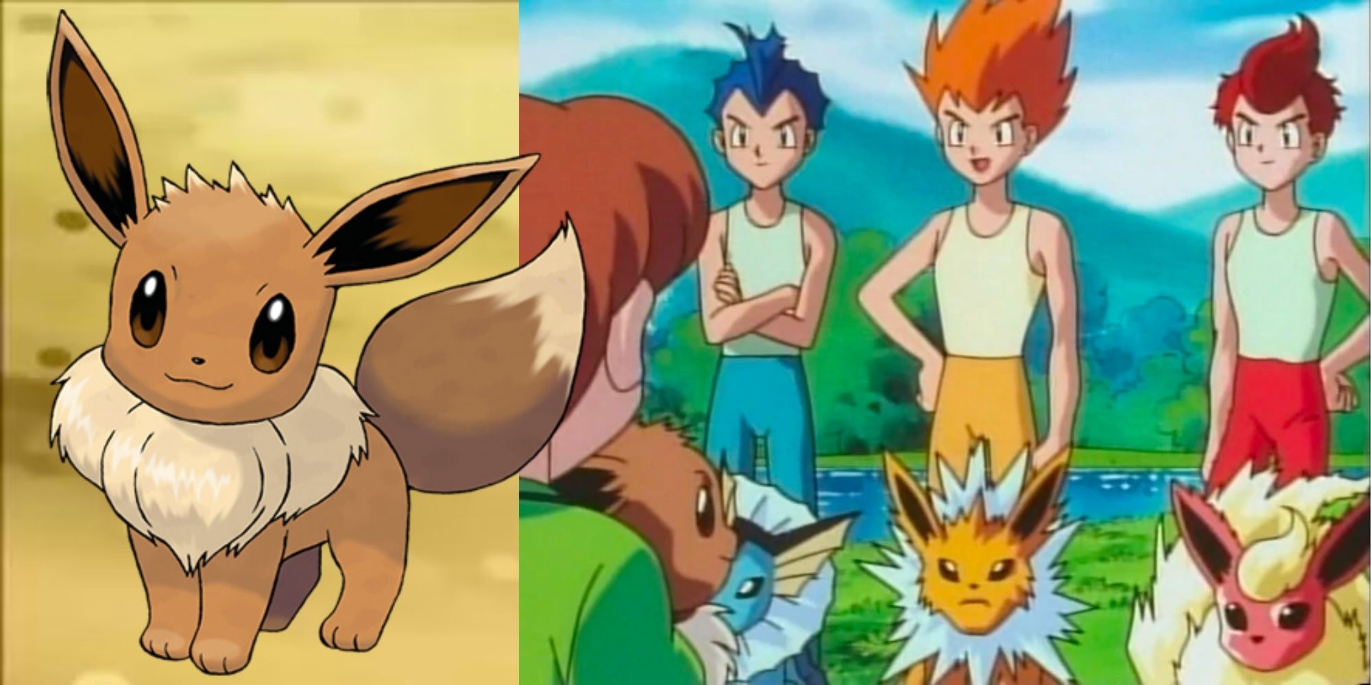 The Eevee Brothers with Jolteon, Vaporeon and Flareon Nintendo Game and Anime Pokemon