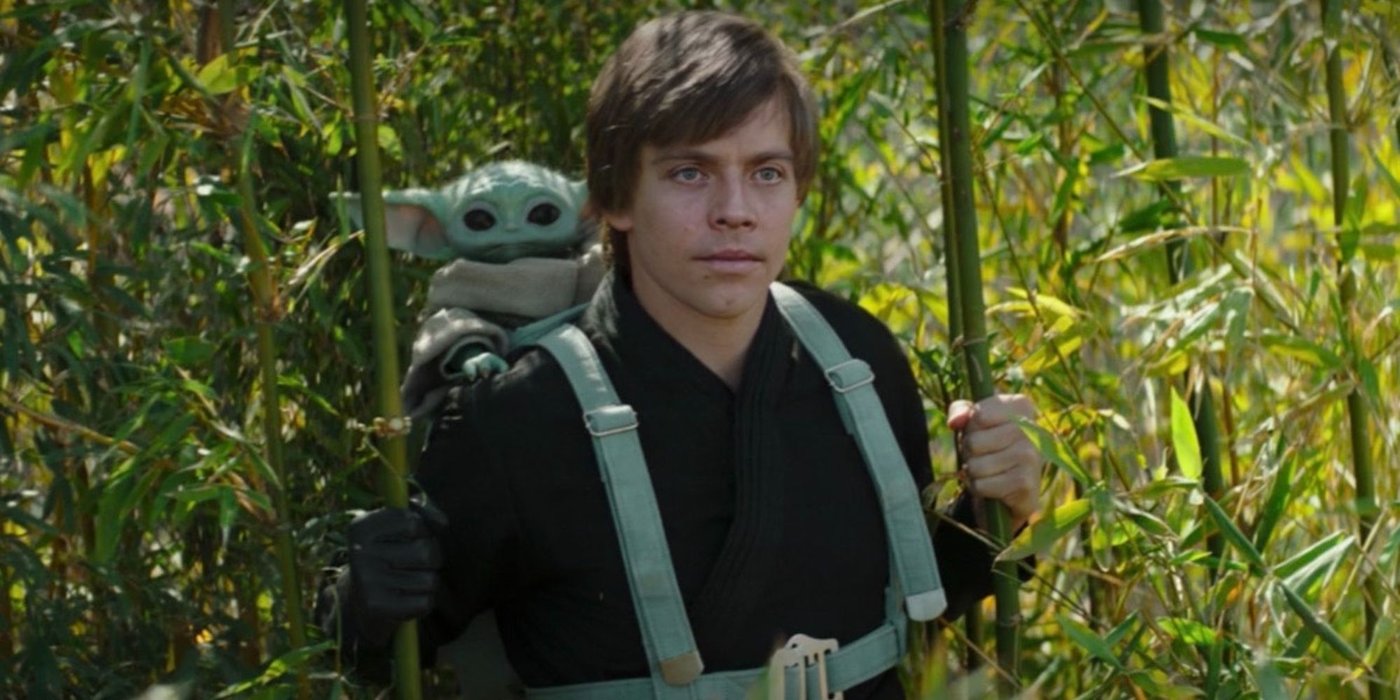 Luke Skywalker walking through the woods with Grogu on his back in The Mandalorian