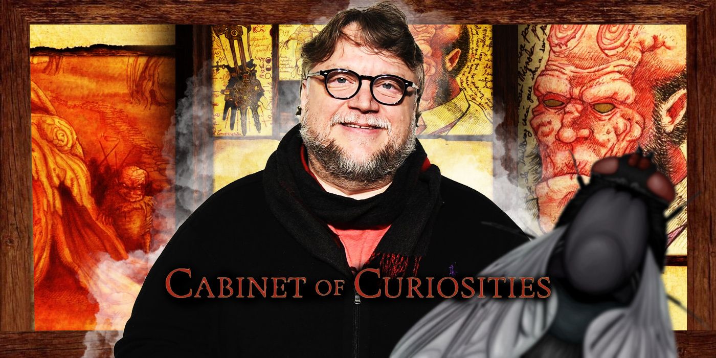 cabinet-of-curiousities