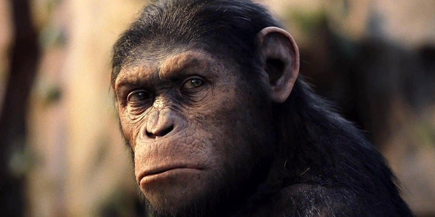 rise-of-the-planet-of-the-apes-caesar-2
