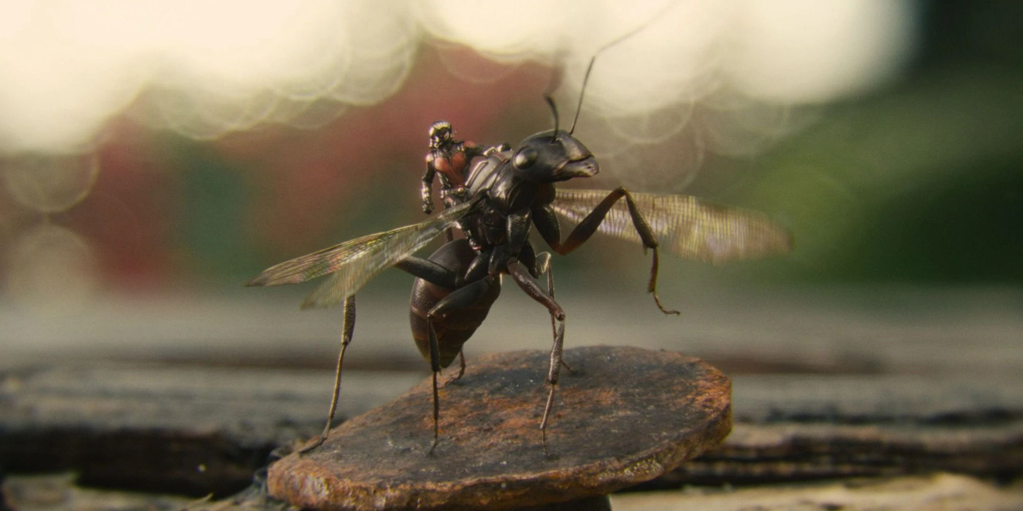 Ant-Man riding Ant-Thony in Ant-Man (2015)