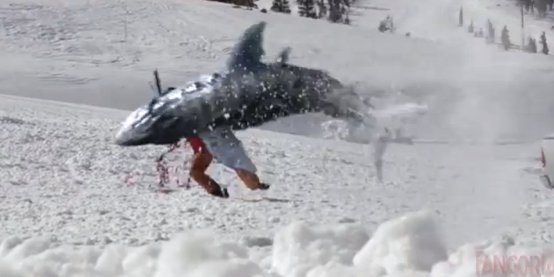 Avalanche Sharks Shark jumping out of snow and attacking skiier Cropped