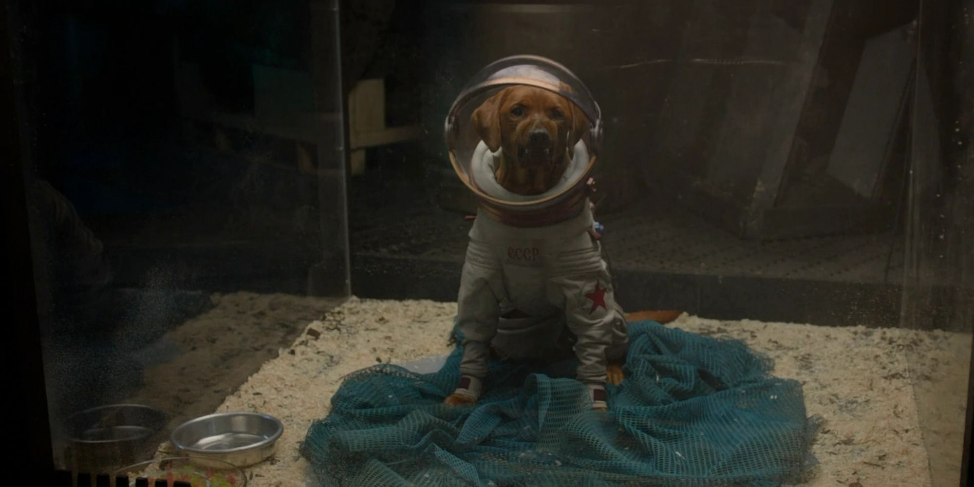 Cosmo the Space Dog in Guardians of the Galaxy