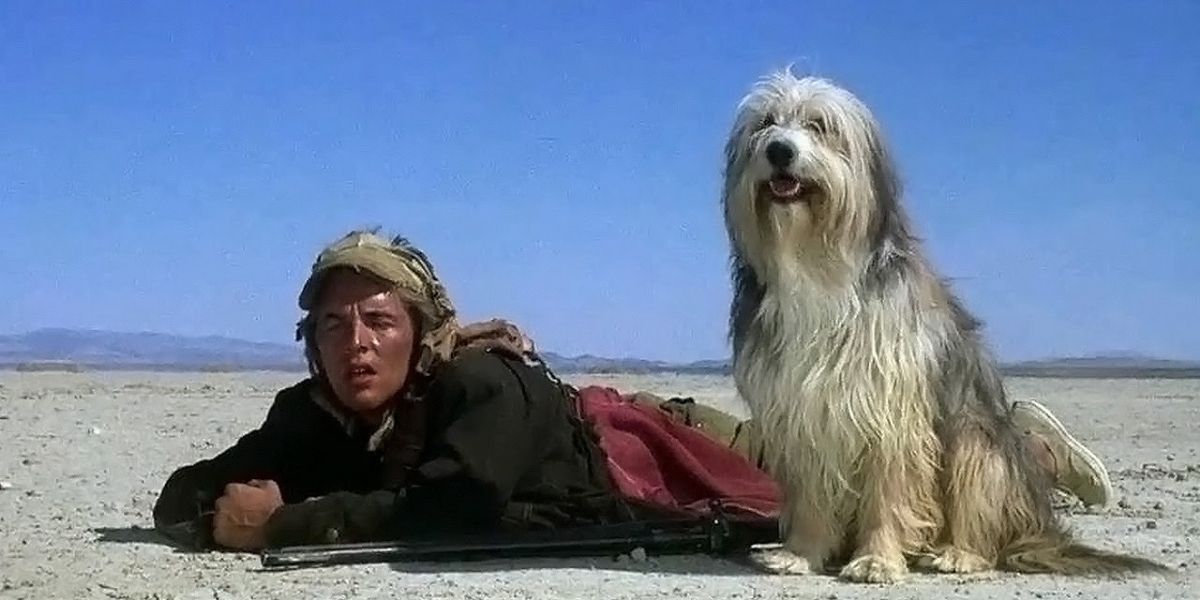 Don Johnson and Tiger in A Boy and His Dog