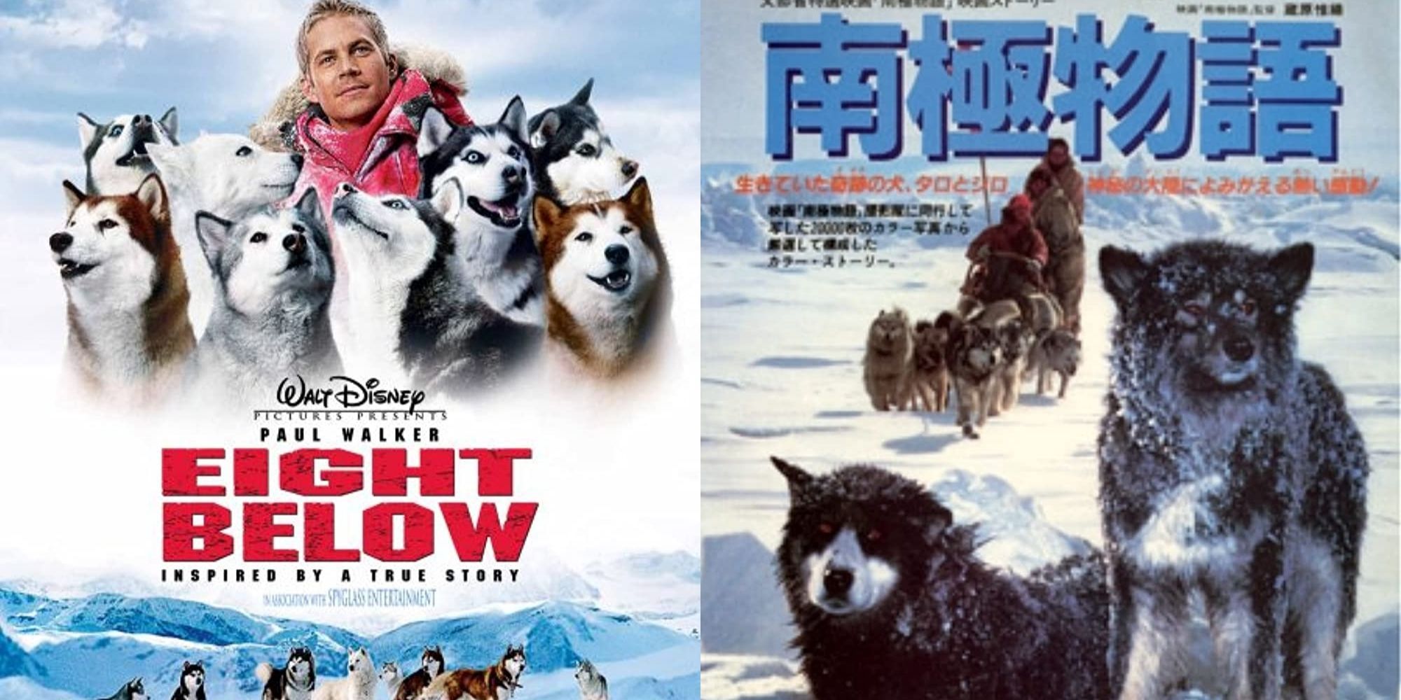 Eight Below poster on the left and Antarctica poster on the right