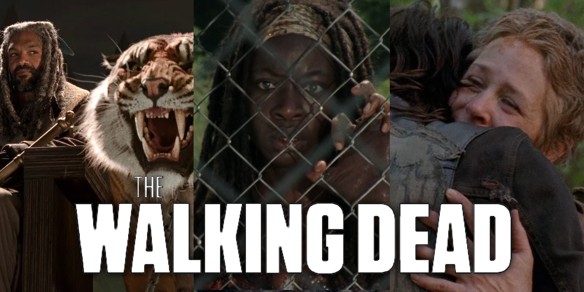 The Walking Dead, Ezekiel and Shiva, Michonne, Daryl and Carol