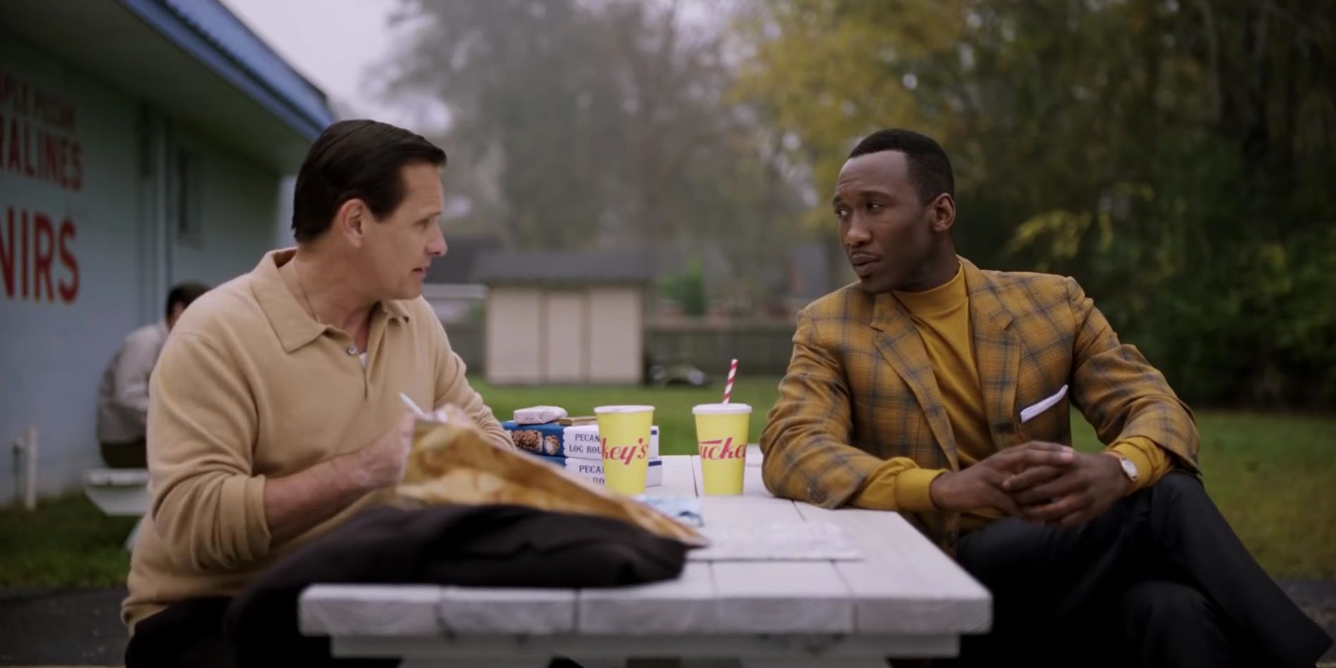 Viggo Mortensen and Mahershala Ali in Green Book