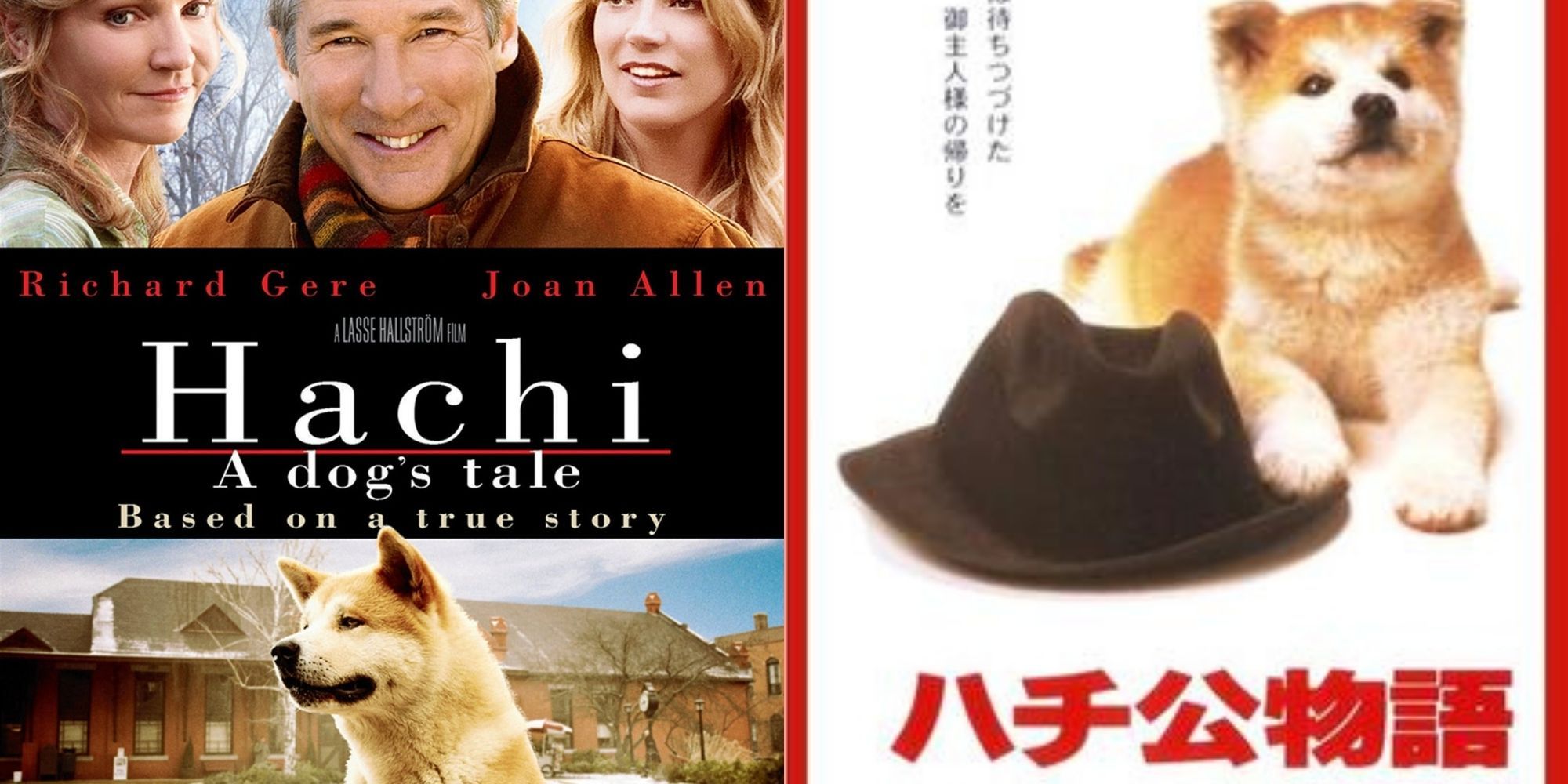 Hachi poster on the left and Hachiko poster on the right