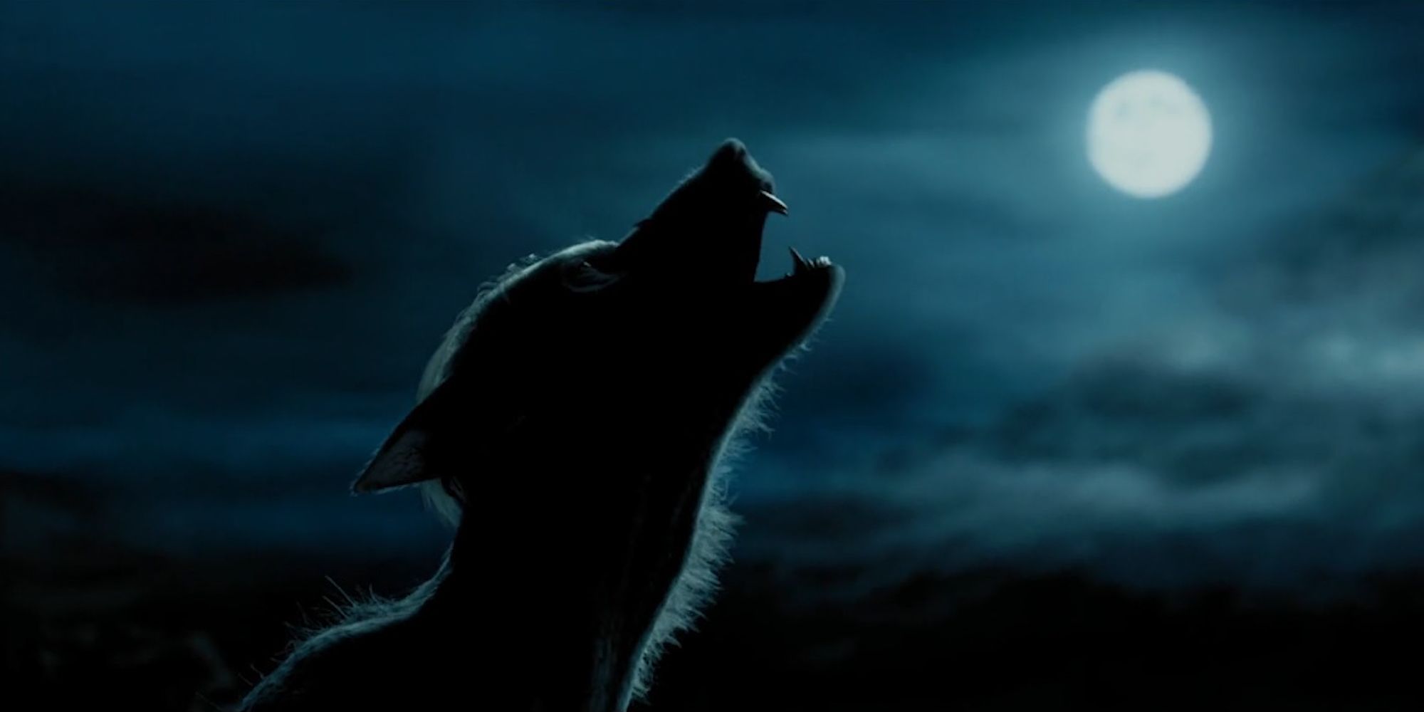 Lupin werewolf form