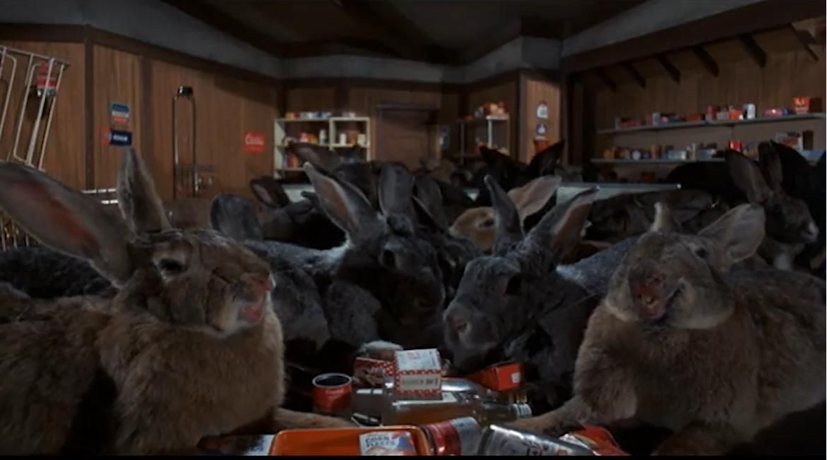 Mutant killer rabbits in 'Night of the Lepus.' 