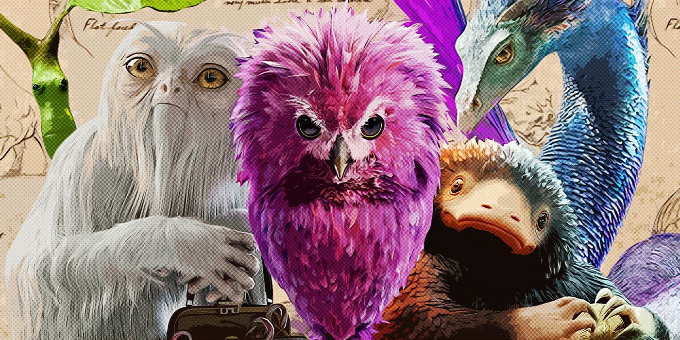 The-Beasts-of-Fantastic-Beasts-Ranked-feature