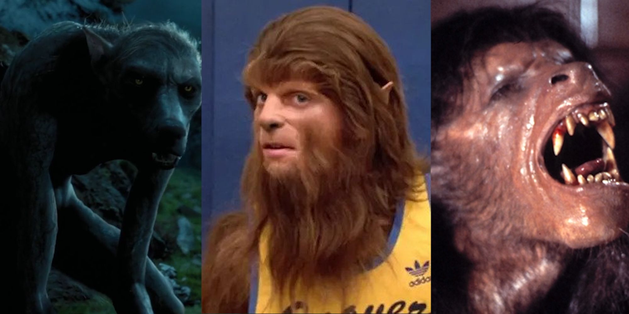 Best Werewolf Movies of All Time: 'Ginger Snaps,' 'Teen Wolf,' More –  IndieWire