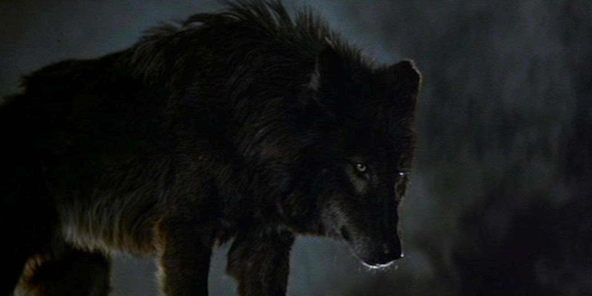 The werewolf in Wolfen (1981)