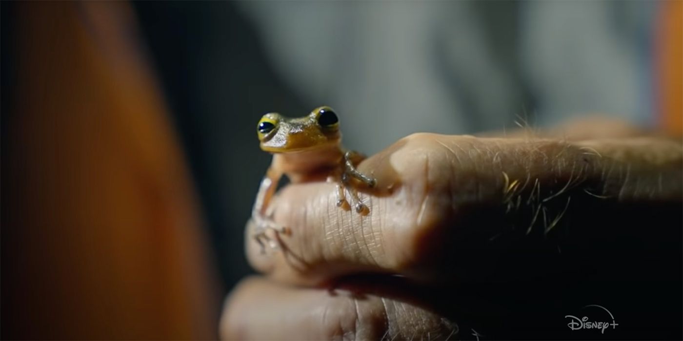 explorer last of the tepui trailer