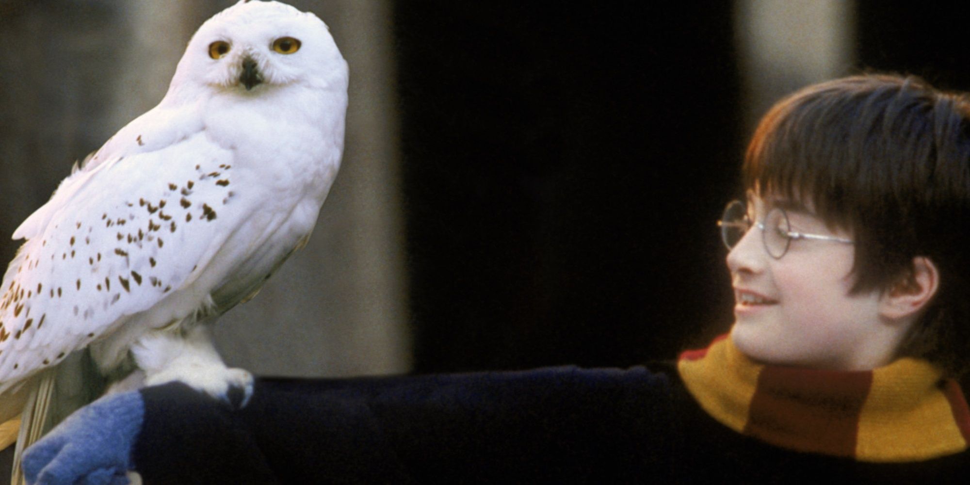 harry and hedwig in the snow from harry potter