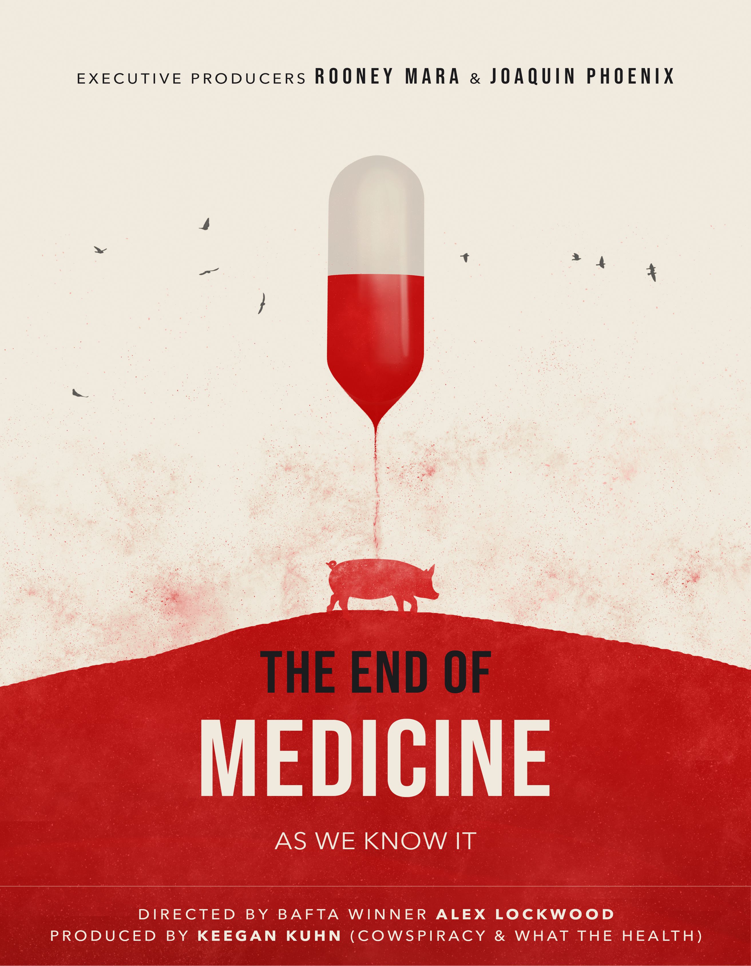 the end of medicine poster