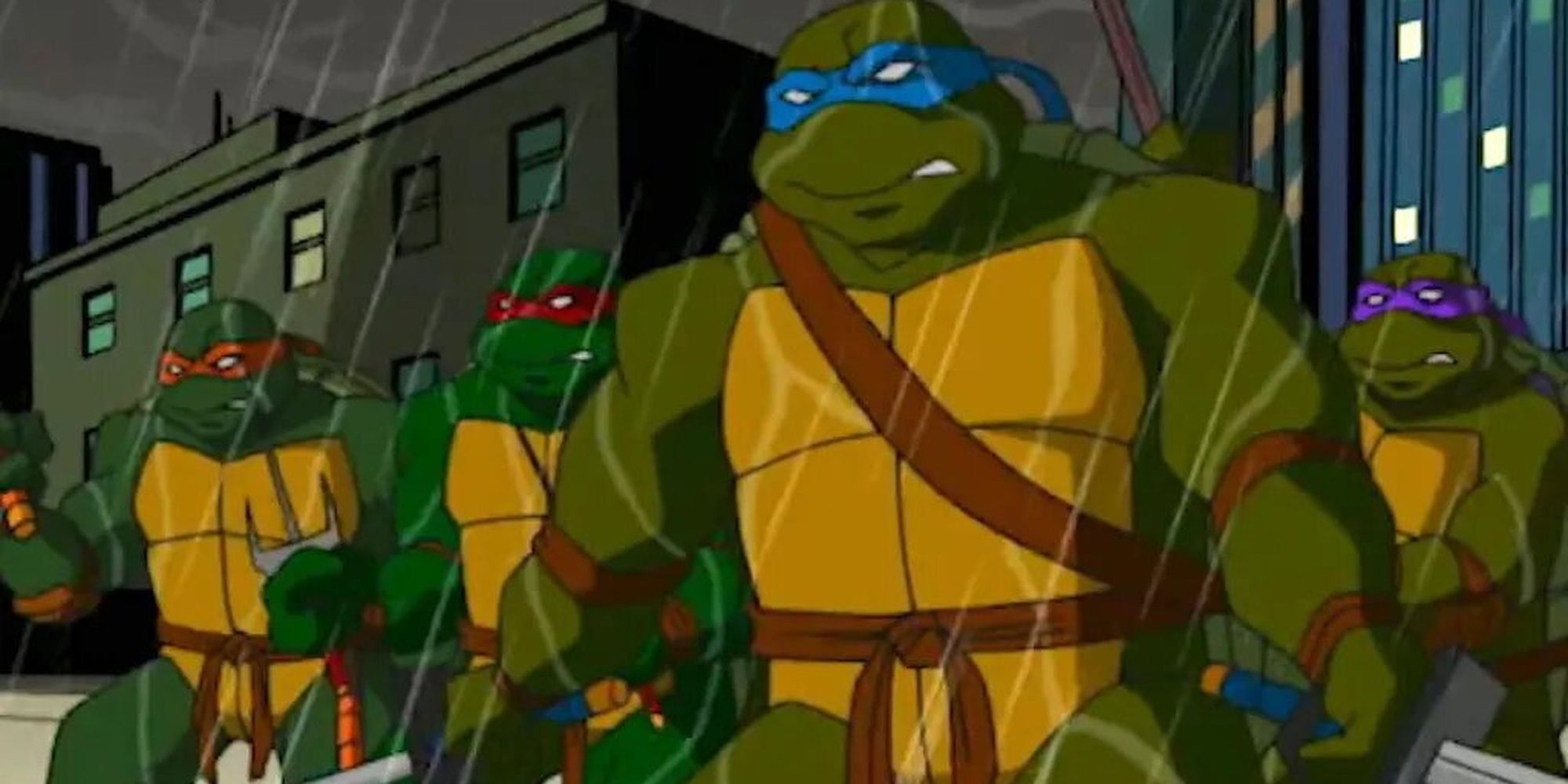 Teenage Mutant Ninja Turtles from the 2003 cartoon.