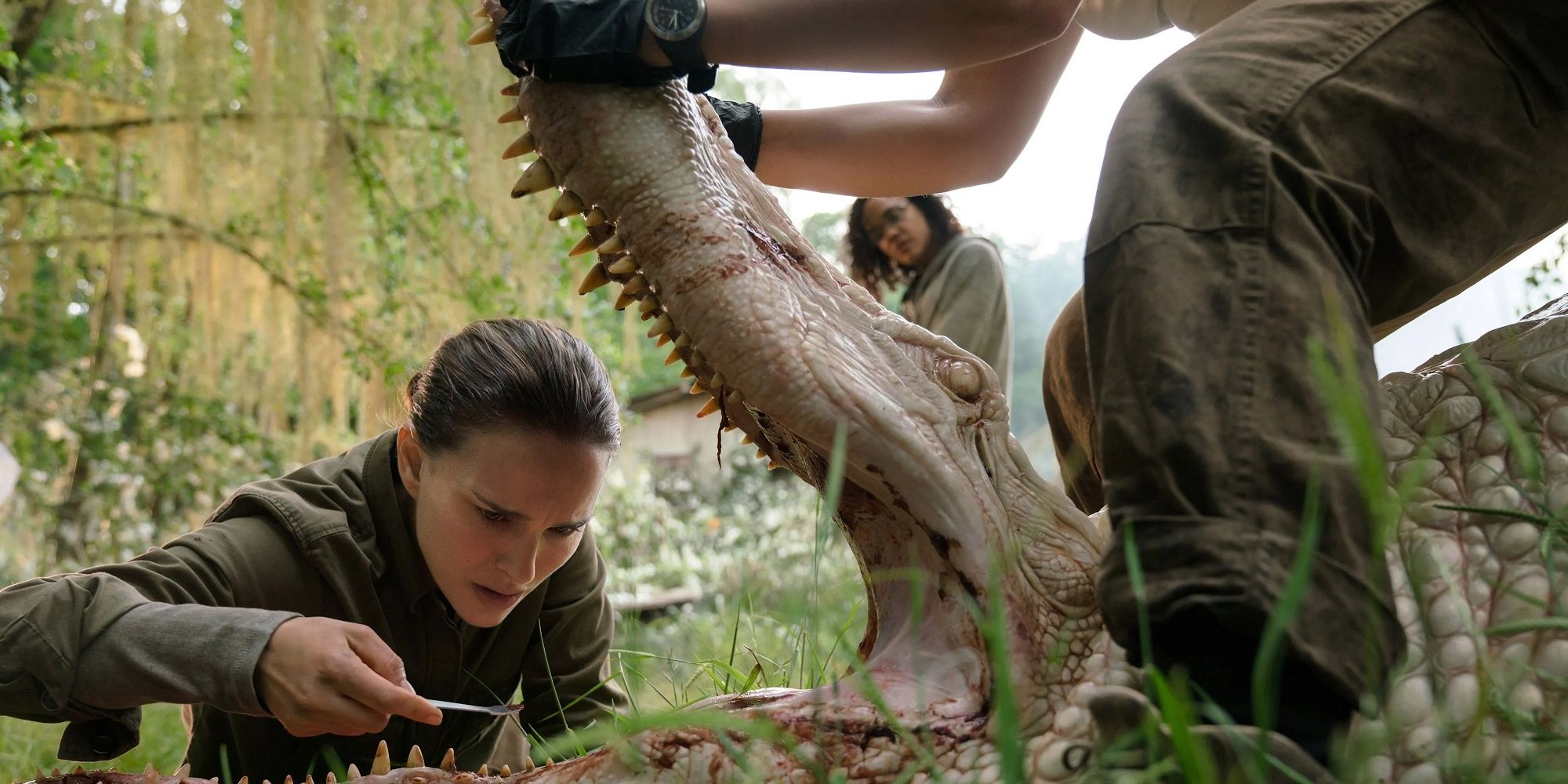 Natalie Portman looking into the mouth of a crocodile in 'Annihilation'