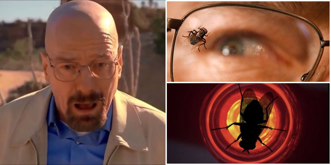 Breaking Bad' Most Shocking Episode Explained