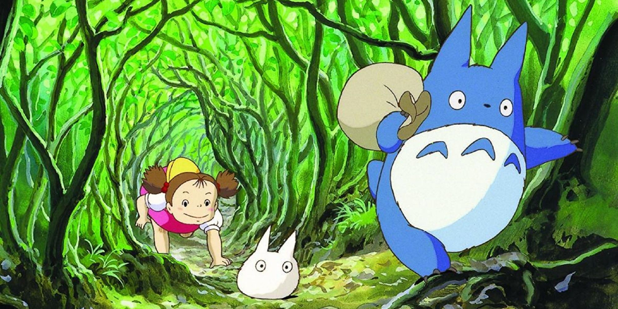 My Neighbor Totoro Japan S Campaign To Protect Forest That Inspired Film