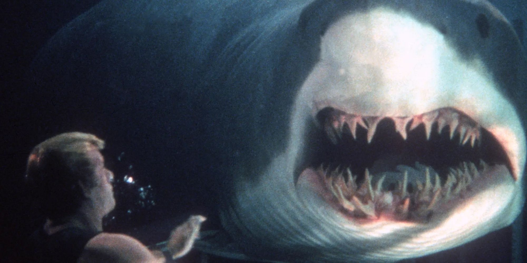 How 'Deep Blue Sea' Put the Bite Back in Shark Movies