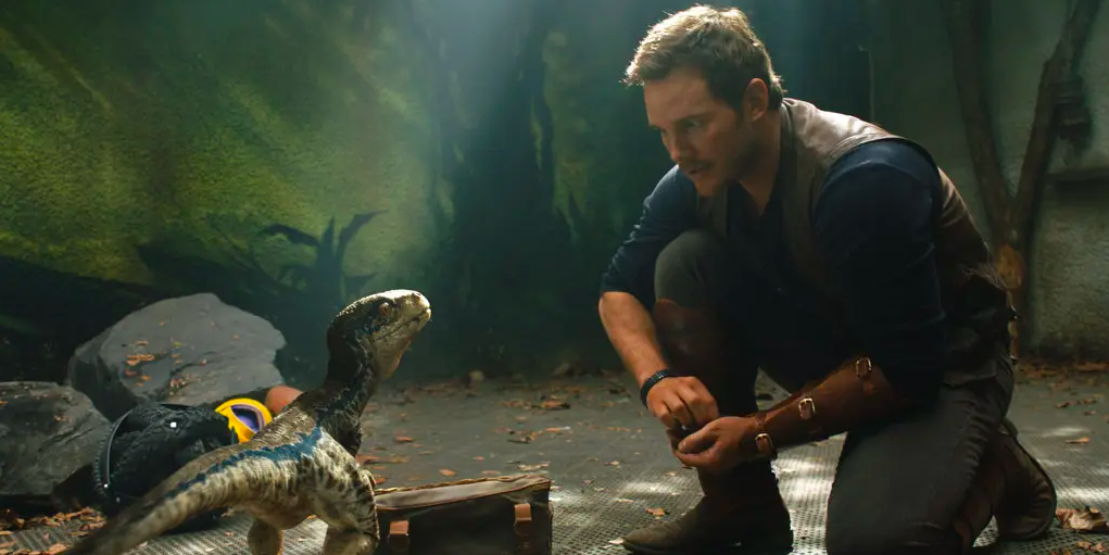 Chris Pratt kneels before Bleu, a baby Velociraptor in Jurassic World: Fallen Kingdom.