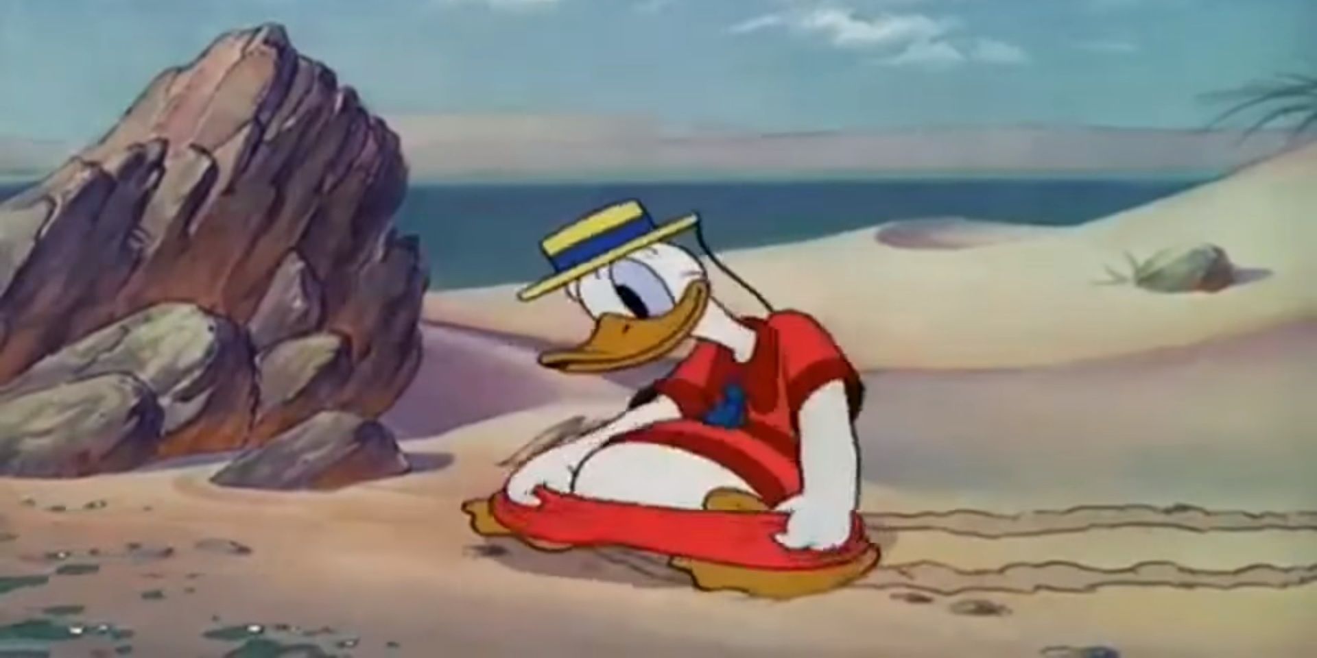 Donald Duck Beach Picnic
