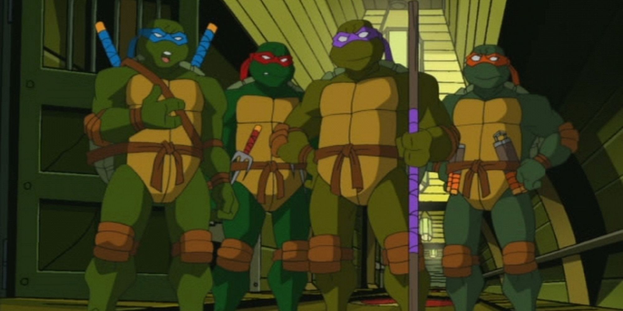 The 2003 animated series version of the Ninja Turtles