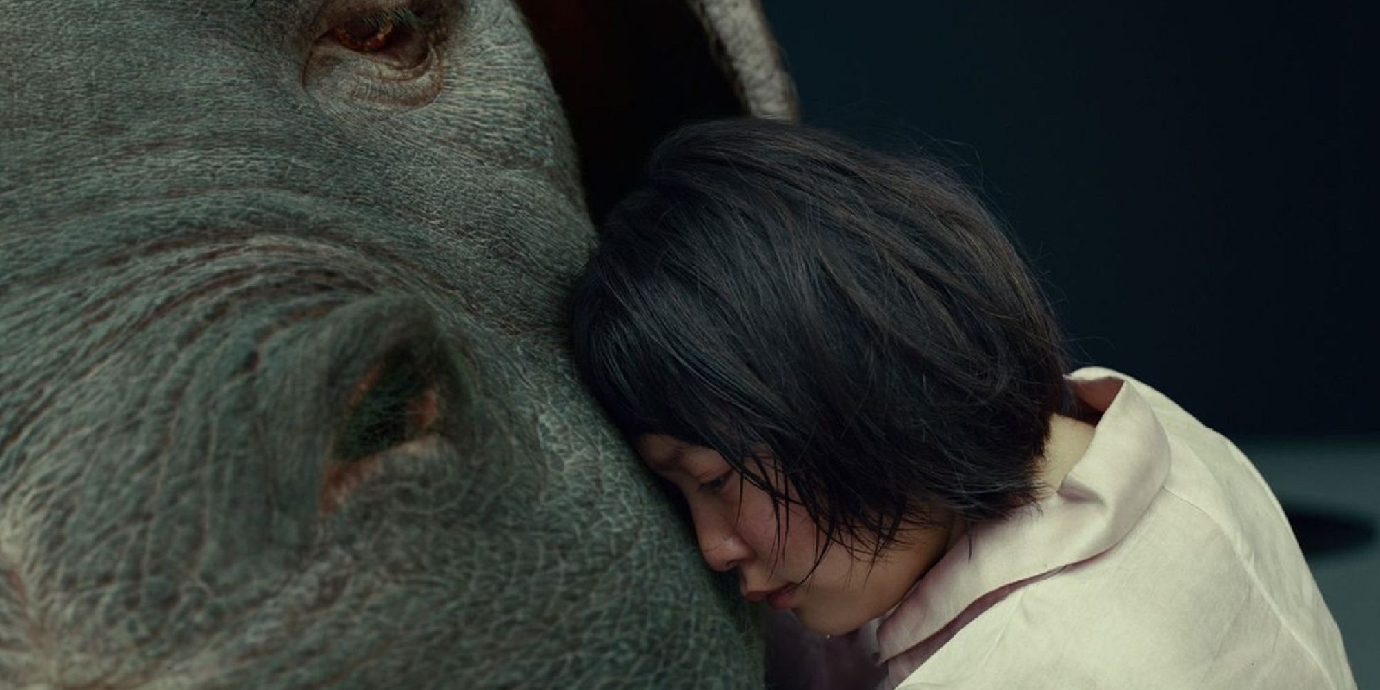 Okja and Mija hugging