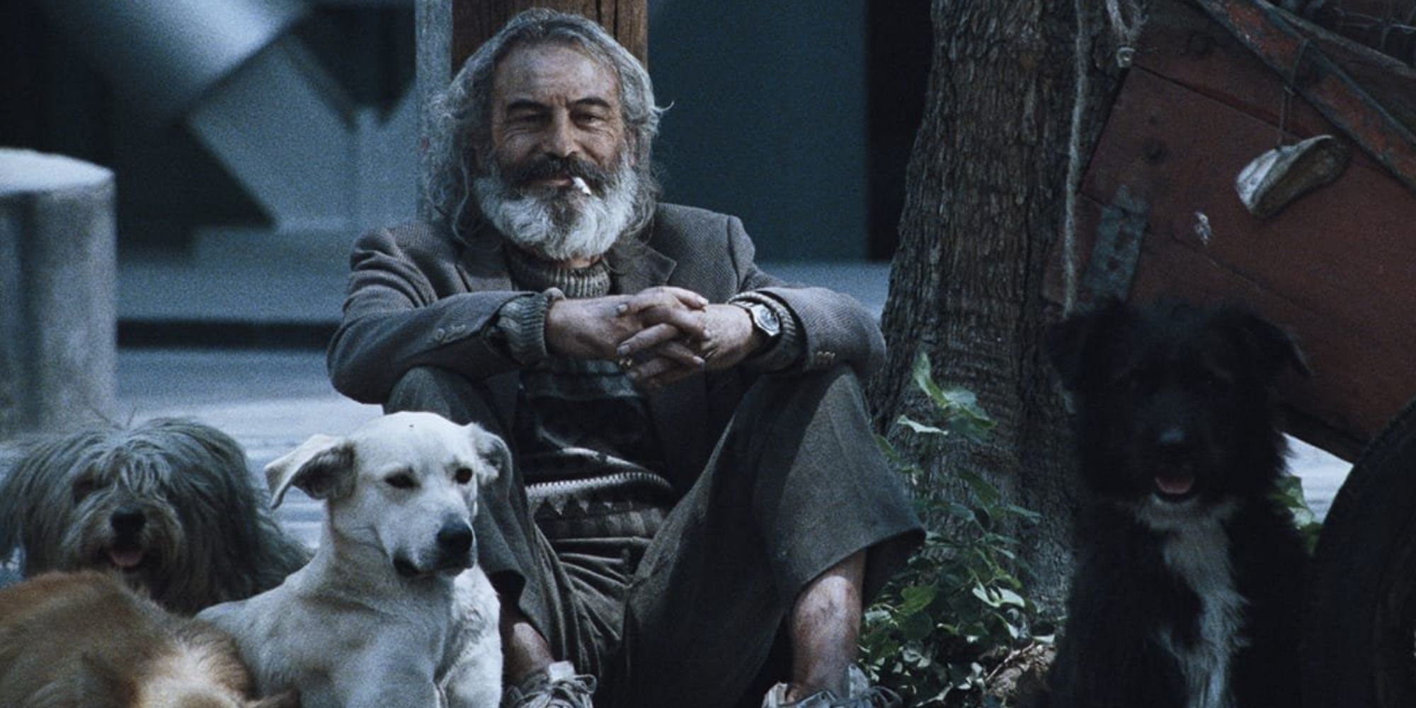one of the main characters of "Amores Perros", sitting on the street with his dogs