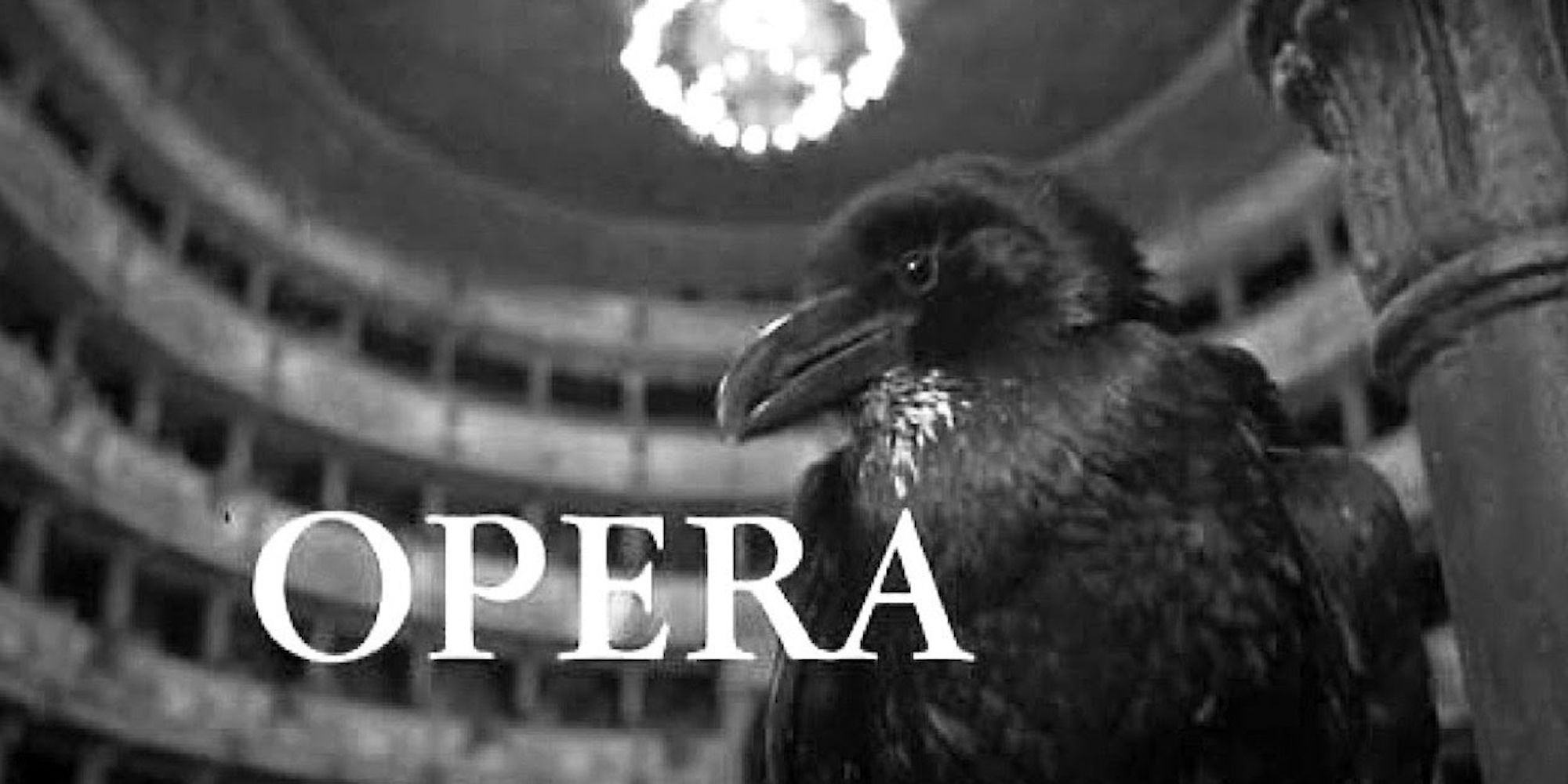 Opera Birds