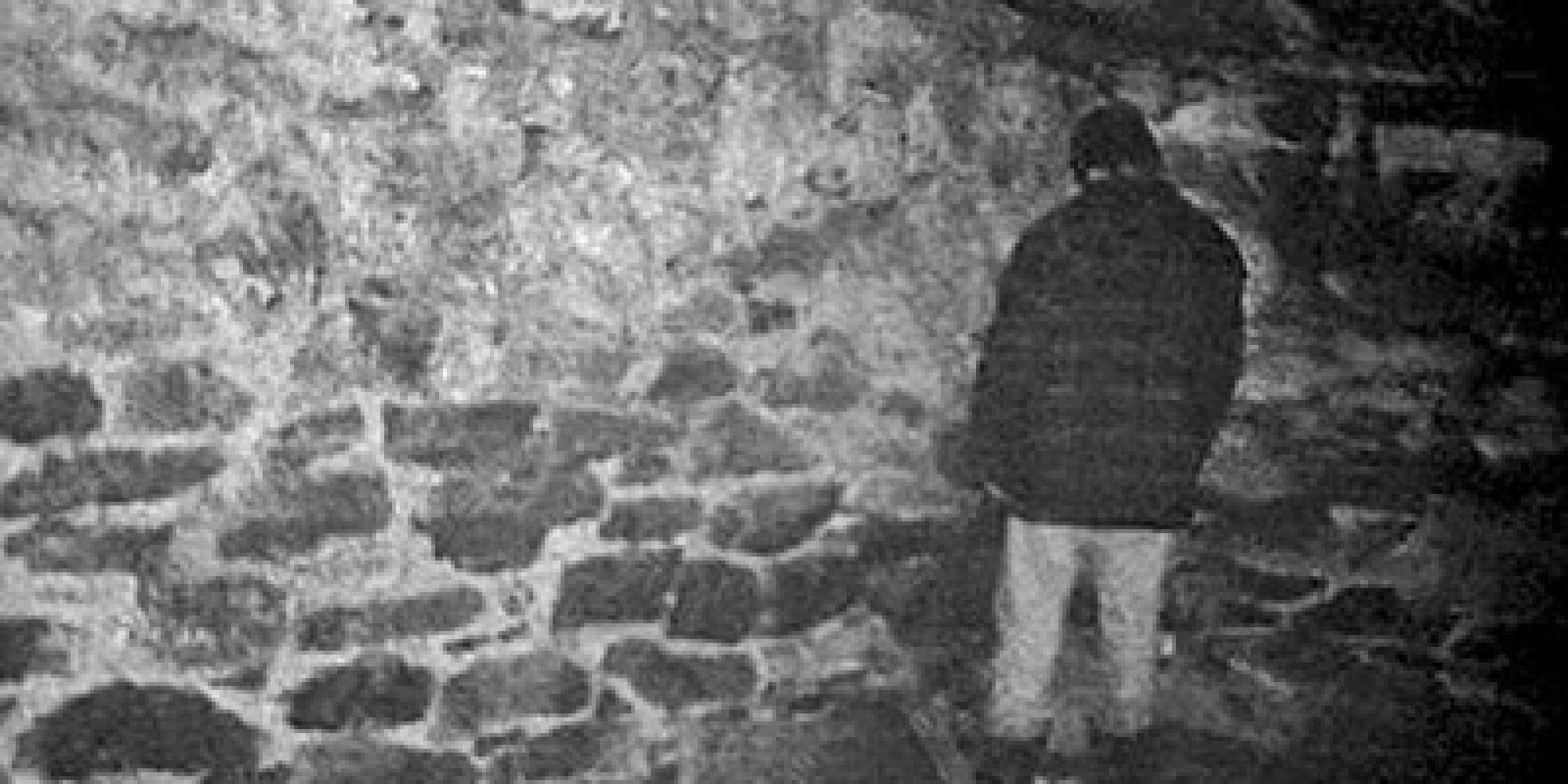 Josh standing in the corner of the witch's house