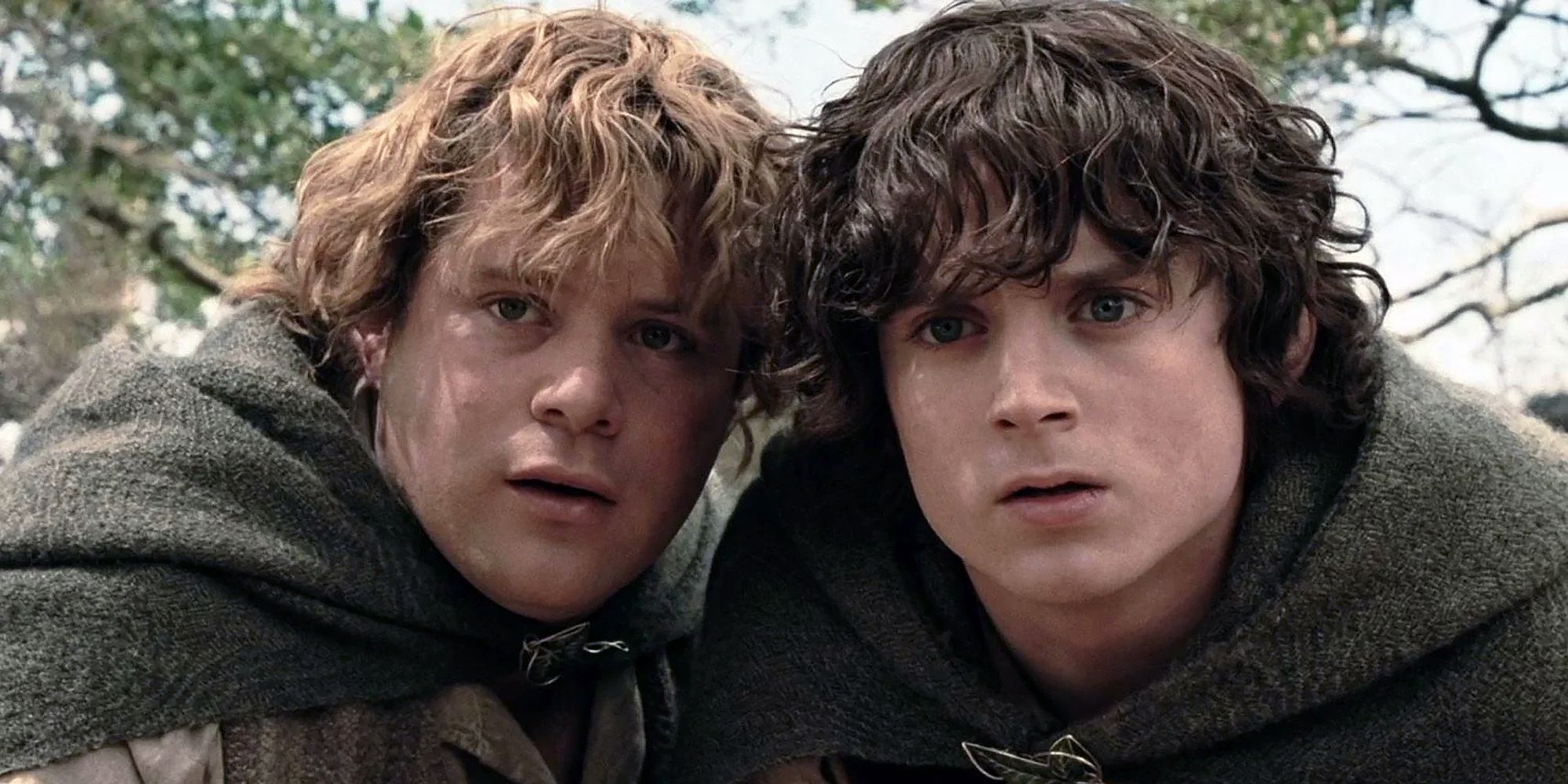 Samwise Gamgee (Sean Astin) with Frodo Baggins (Elijah Wood) in 'The Lord of the Rings' trilogy