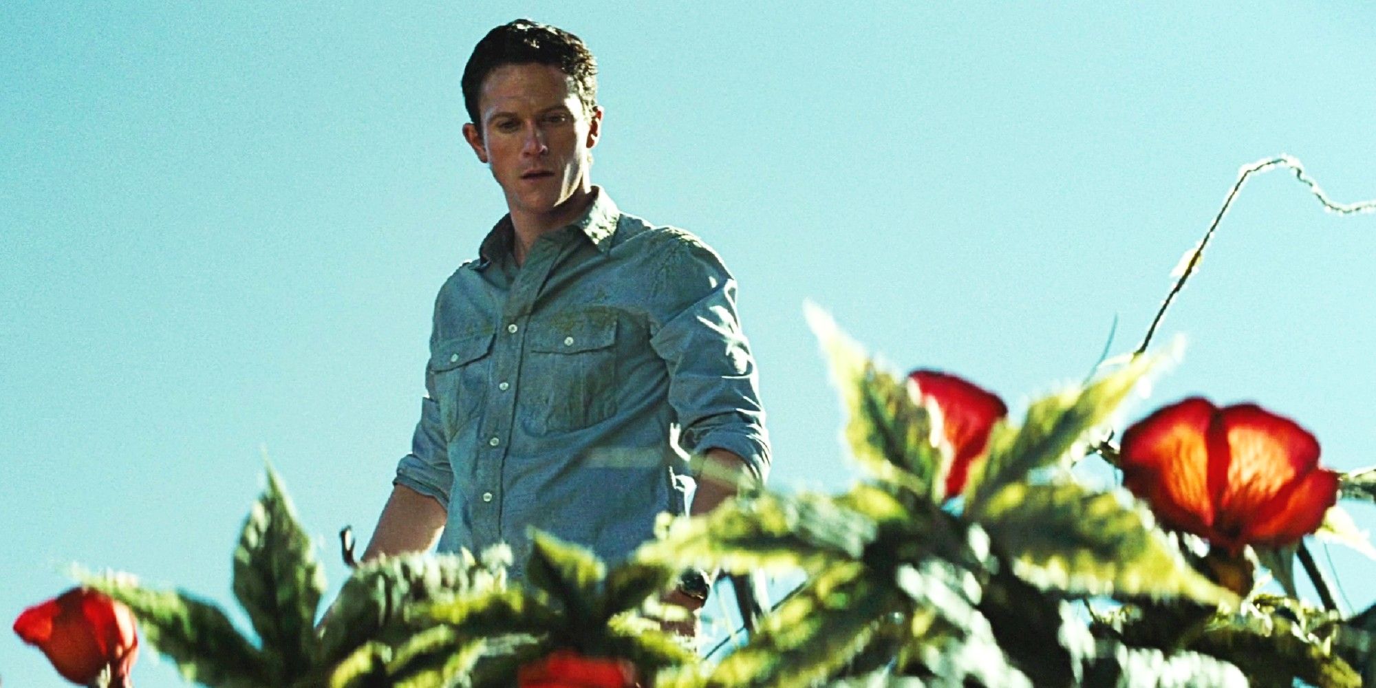 A man looks down at a bunch of leaves and flowers