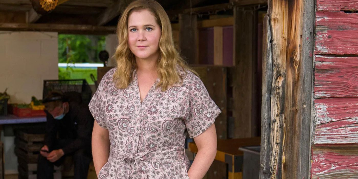 amy-schumer-life-and-beth-featured