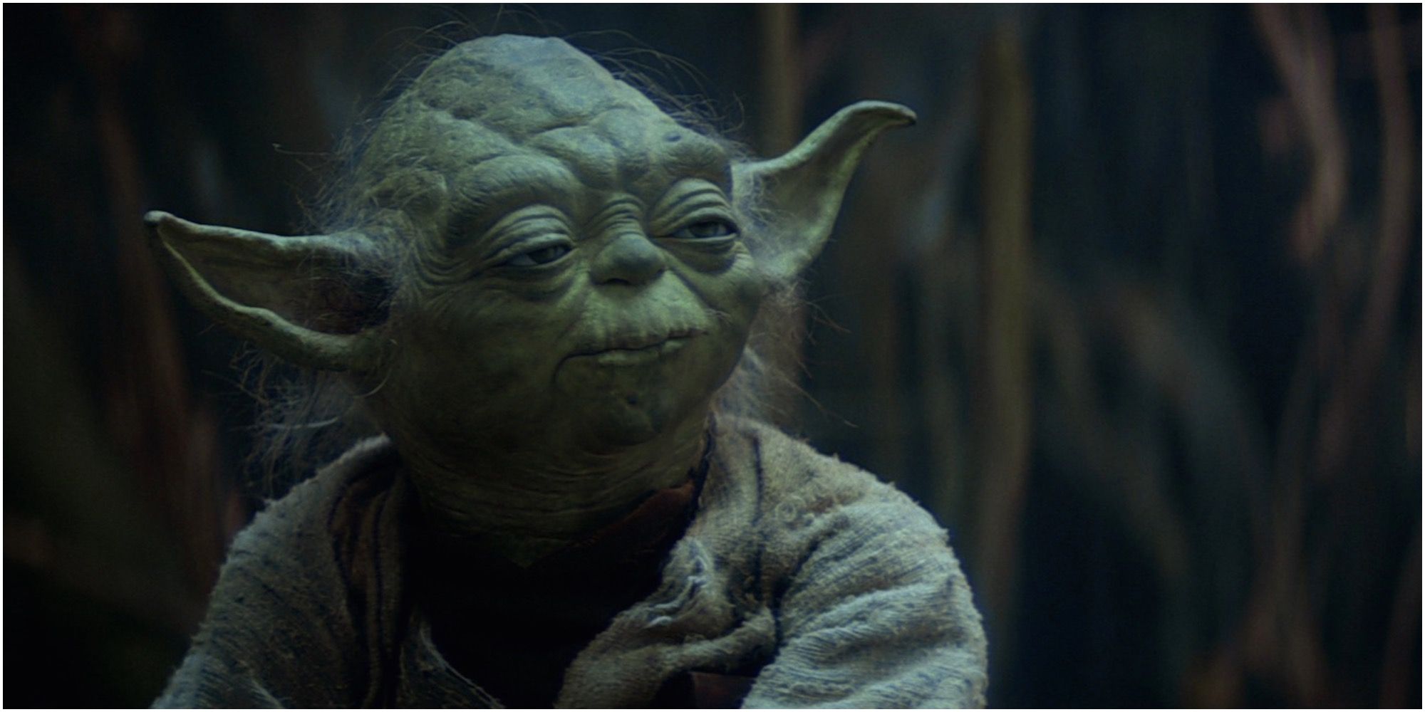 Yoda instructs Luke Skywalker