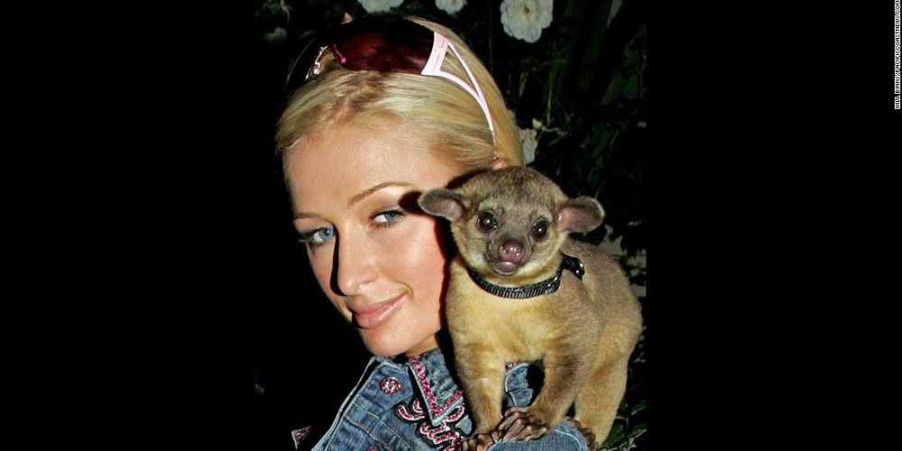 9 Celebrity Pets That Are Too Cute For This World
