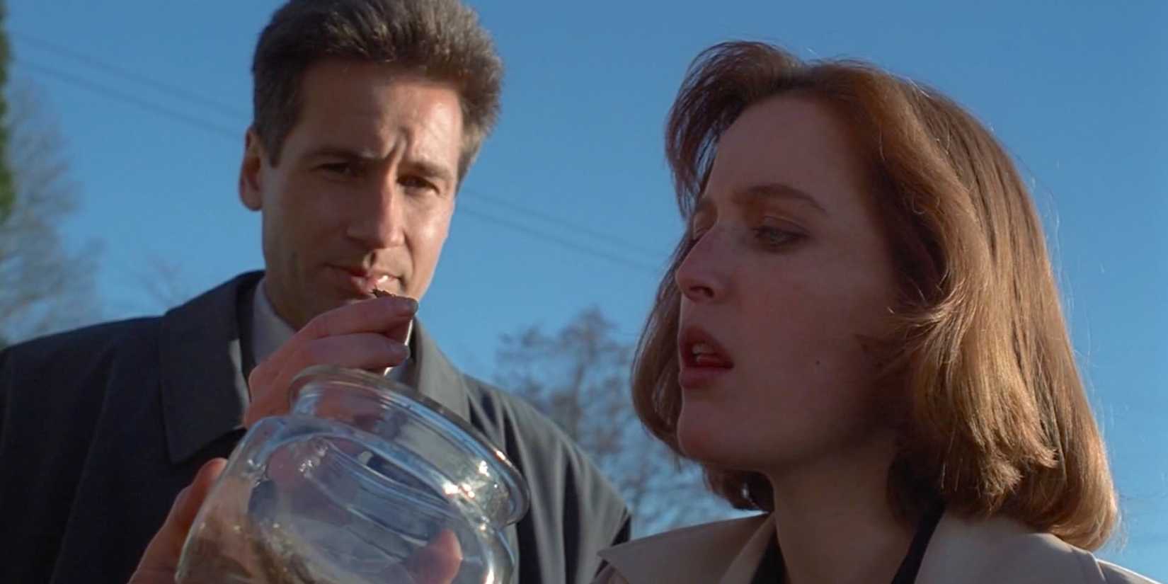 X -Files - humbug