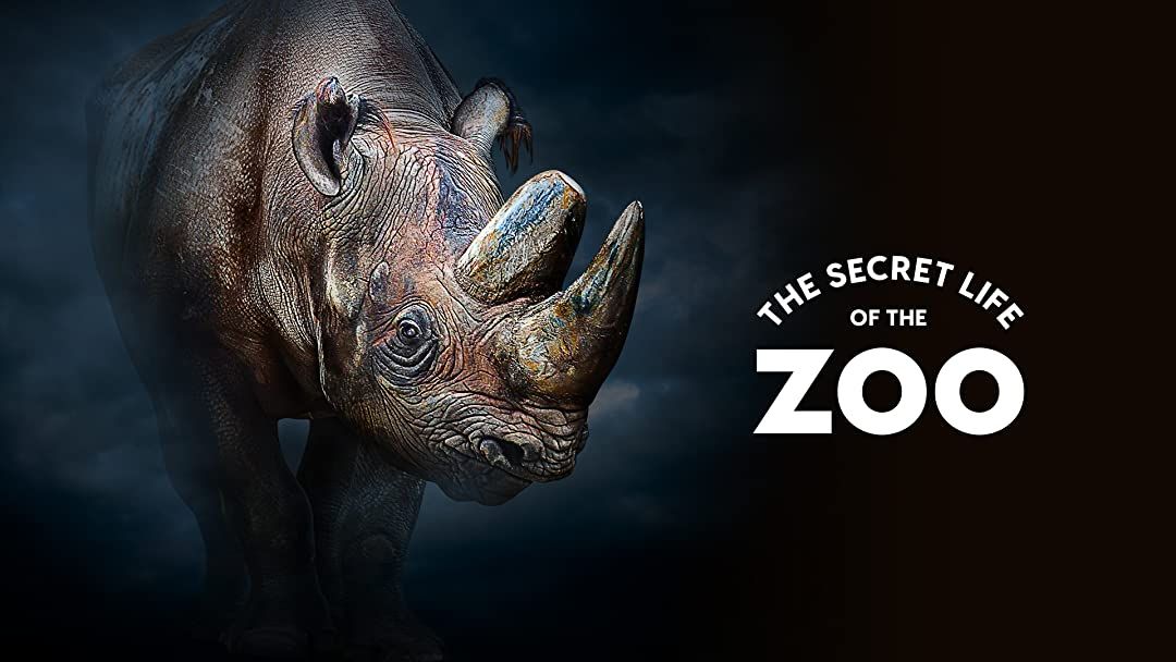 secrets-of-the-zoo-season-5