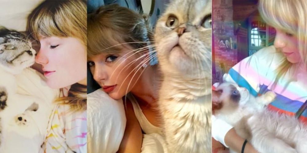 9 Celebrity Pets That Are Too Cute For This World