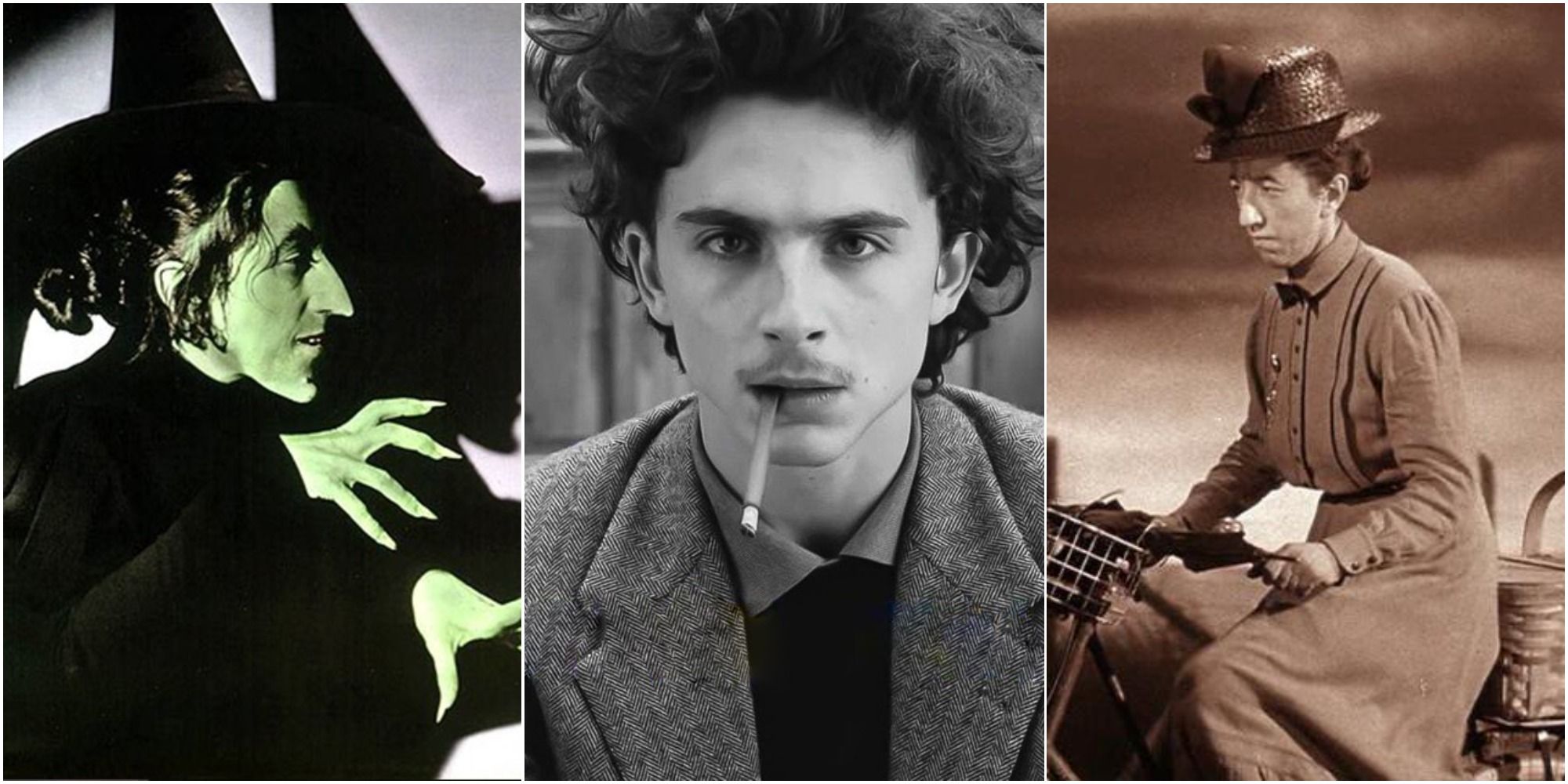 timothee chalamet steampunk wicked witch wizard of oz remake