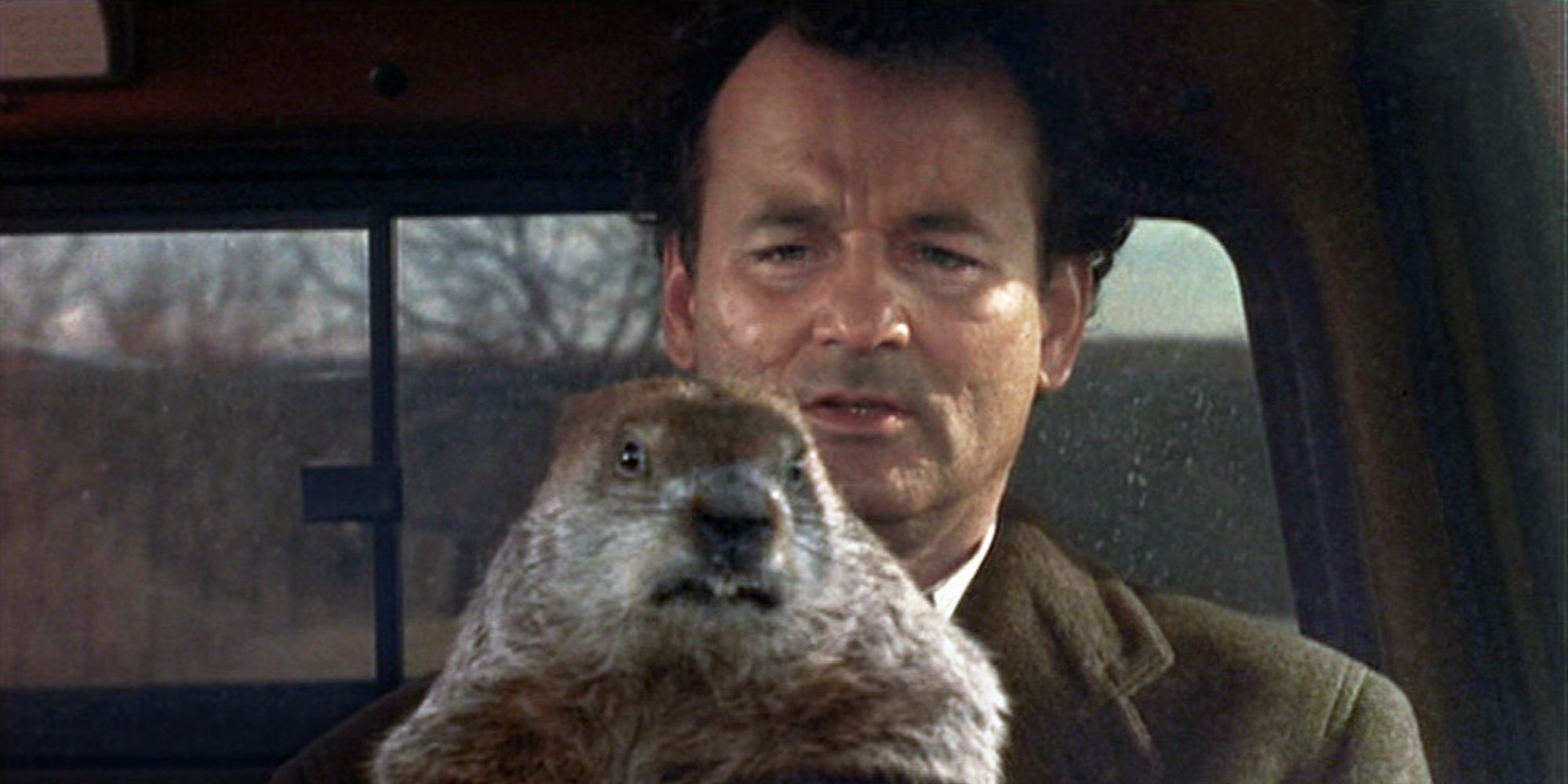 Bill Murray as Phil Connors driving with a groundhog on his lap in Groundhog Day