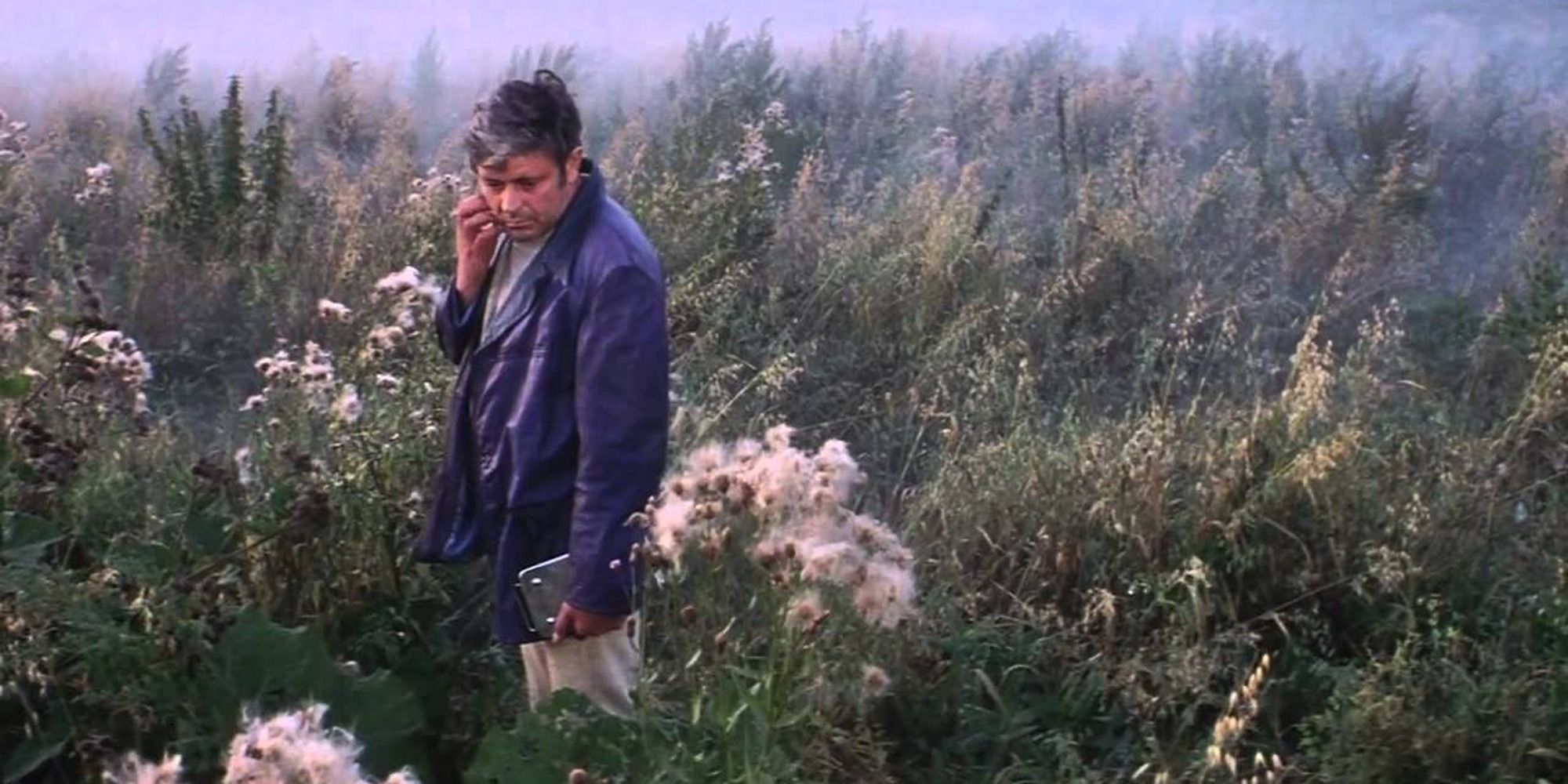 Un homme contemple son environnement dans un champ herbeux rempli de plantes luxuriantes.