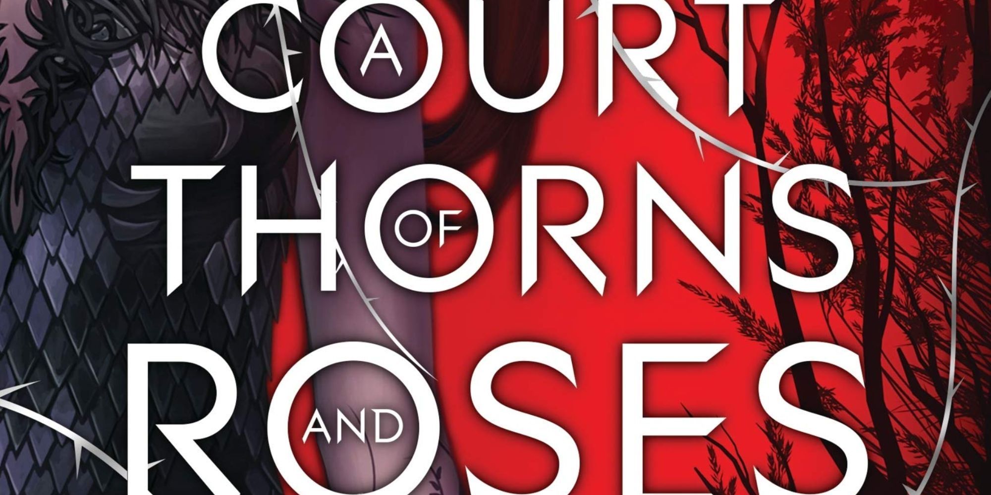 A close-up of the A Court of Thorns and Roses title from the book's cover.
