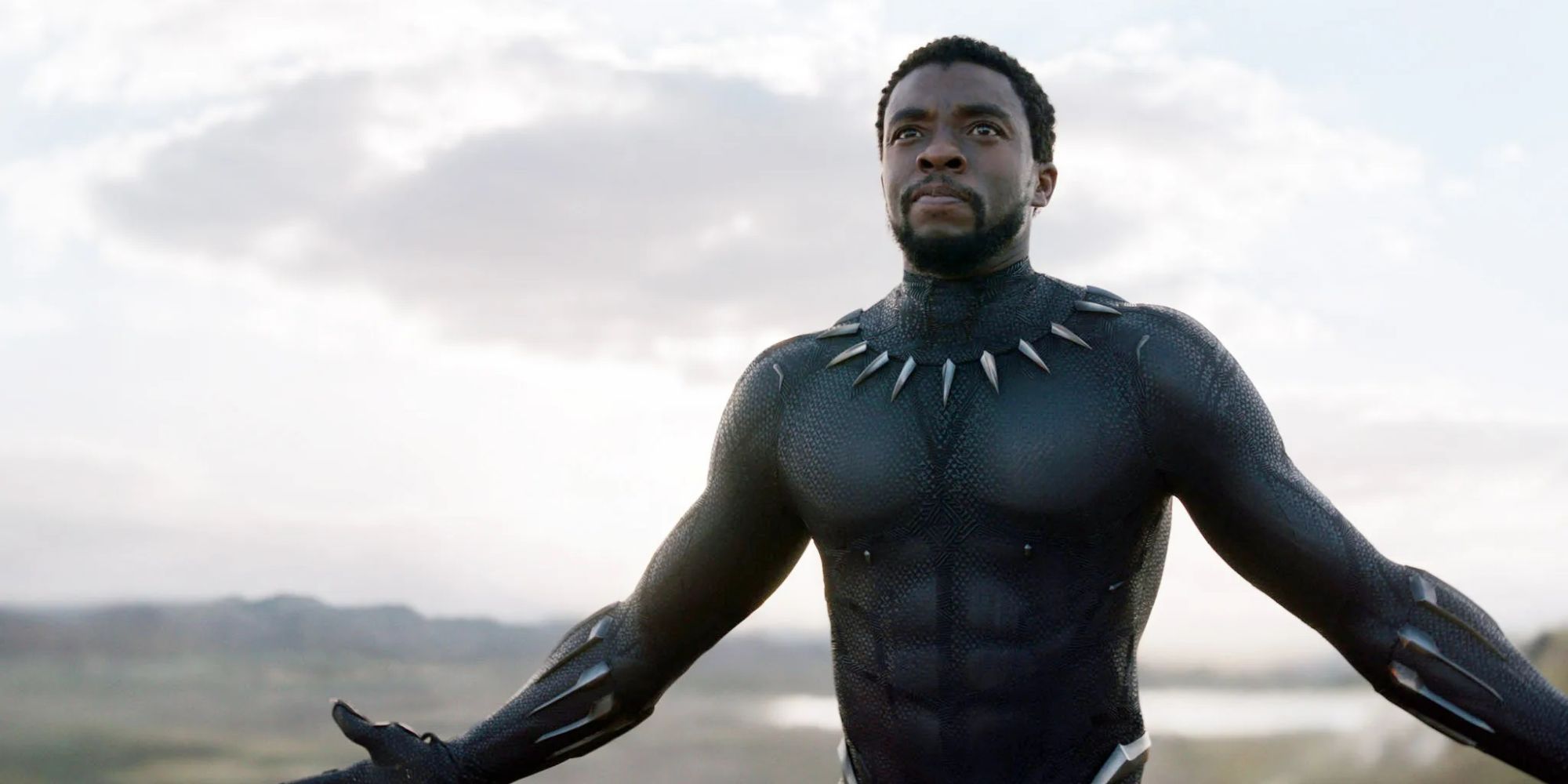 chadwick Boseman in Black Panther