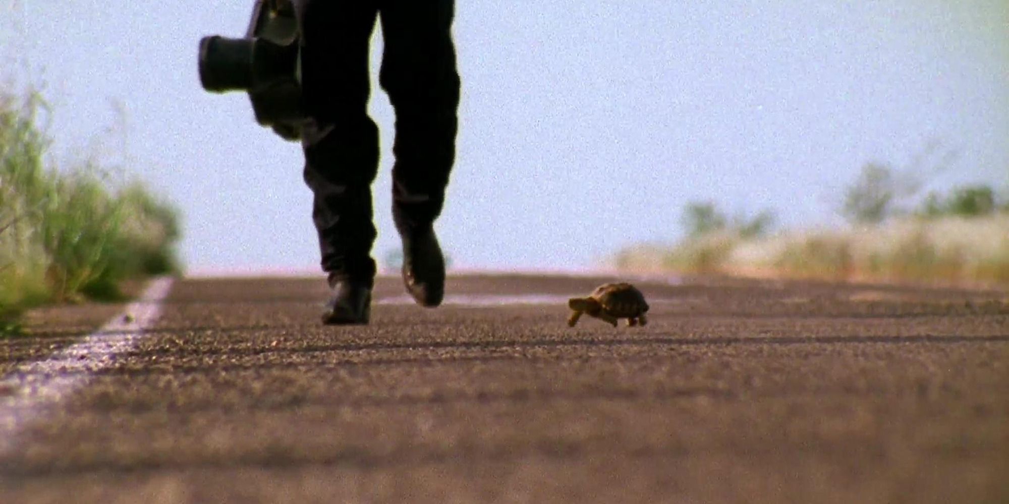 the feet of El Mariachi walking down the highway with a turtle by his side