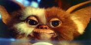 Why Is Gizmo The Only Good Gremlin Why Is Gizmo The Only Good Gremlin