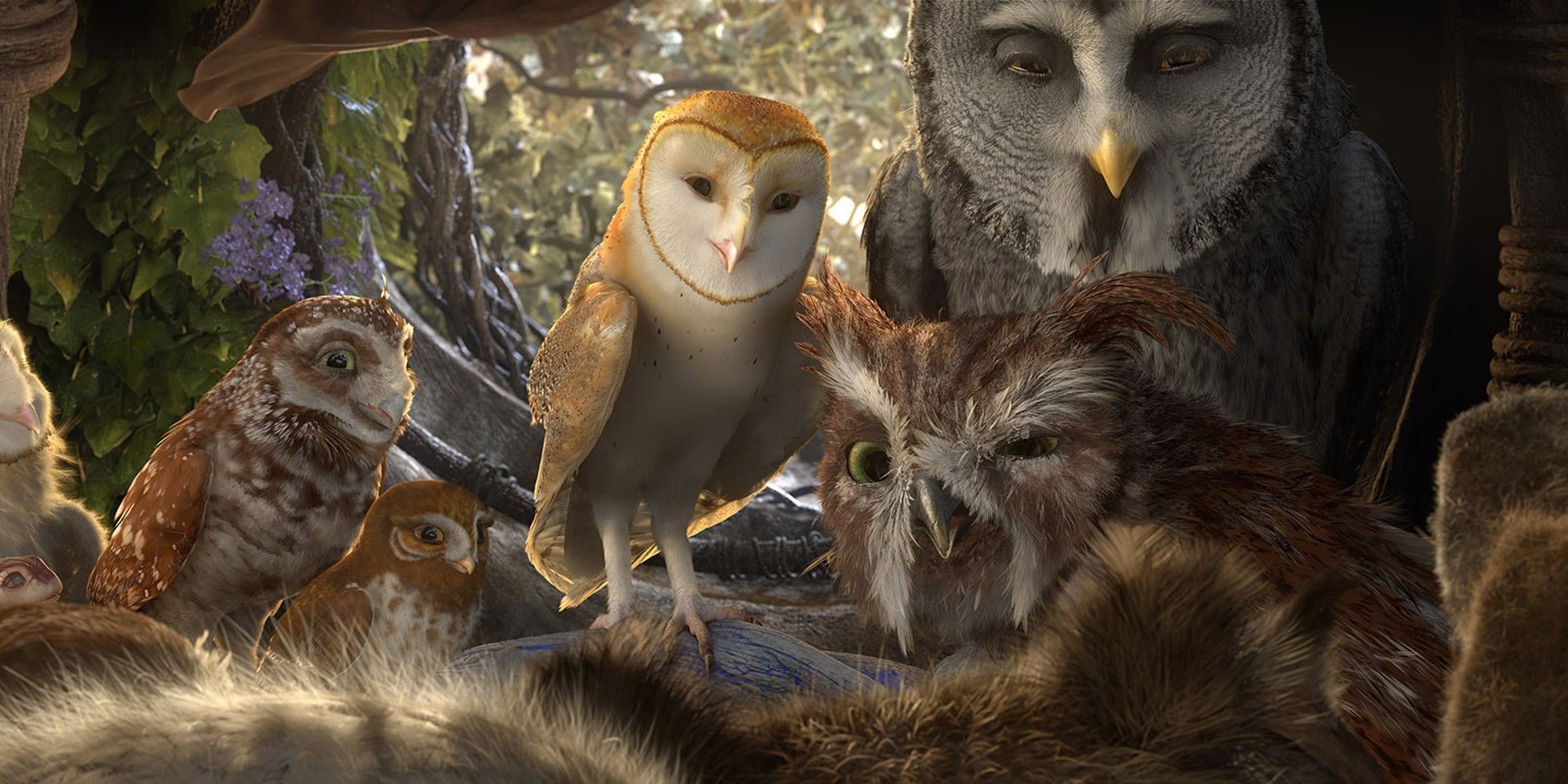 Legend of the Guardians The Owls of Ga'Hoole